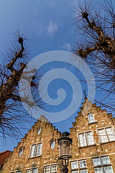 Thorns and Steps