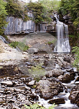 Thornton Force