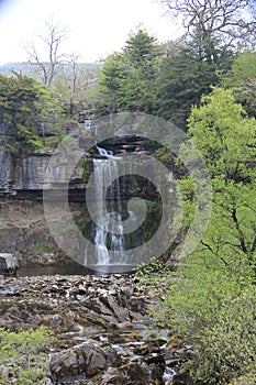 Thornton Force In Summer, Yorkshire Dales, UK