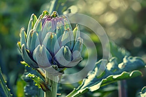 Thorny Artichoke plant. Generate Ai