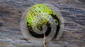 Thorny fruit