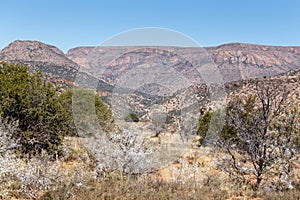 The Thorny Mountain View - Cradock Landscape photo
