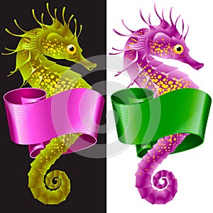 Thorny Seahorse is Wrapped in Swirl Ribbon