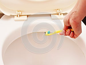 Thorough cleaning toilets use a toothbrush.