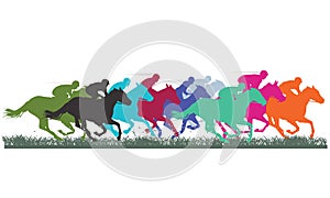 Thoroughbred horse racing