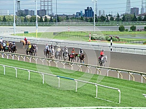 Thoroughbred horses prepare for a  race at Woodbine Racetrack
