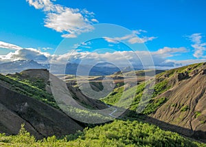 Thorsmork valley with green vegetation of moss, fern, birchwood under blue sky in sunny summer day, Iceland