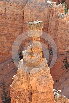 Thorâ€™s Hammer in Bryce Canyon National Park, Utah