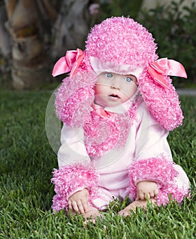 Thoughtful Baby Dressed In Poodle Costume