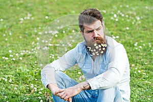 Thoughtful man sitting on green meadow, tranquility and meditation concept. Guy with daisy or chamomile flowers in beard