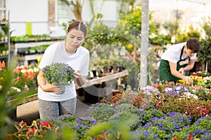 Thoughtful young girl choosing potted blooming lobelia in greenhouse