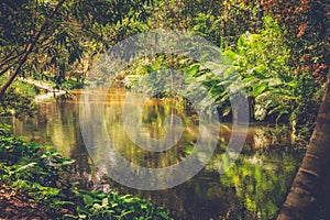 Thousand lingas river. Siem Reap. Cambodia