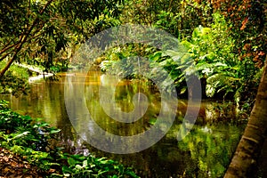 Thousand lingas river. Siem Reap. Cambodia