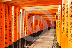 Thousands of Japanese shrines forming a tunnel walk way photo