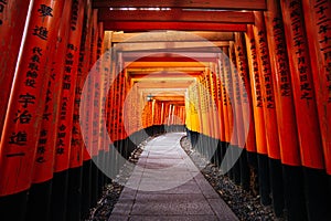 Thousands of red torii gates at Fushimi Inari Taisha Shrine in Kyoto, Japan