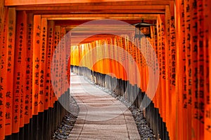 Thousands of torii gates at Fushimi Inari Shrine in Kyoto