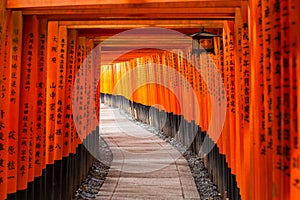 Thousands of torii gates at Fushimi Inari Shrine in Kyoto photo