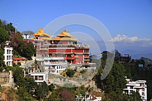 Thrangu Tashi Yangtse Moastery