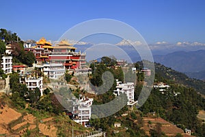 Thrangu Tashi Yangtse Moastery