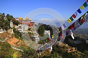 Thrangu Tashi Yangtse Moastery photo