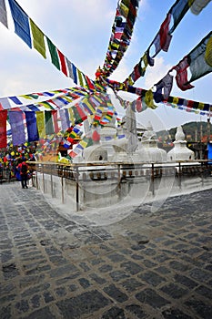 Thrangu Tashi Yangtse Monastery at Namo Buddha, Nepal