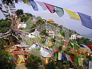 Thrangu Tashi Yangtse Monastery in Nepal