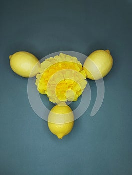 Thre flower and the lemon.