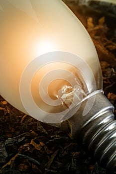 thread of an incandescent lamp and lamp shines without electricity lying in the ground