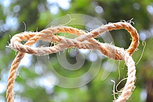 Rope Knot Loop with bent edges photo