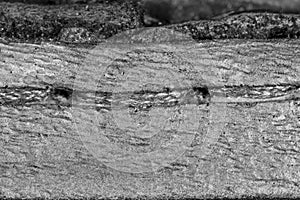 Thread seam on black leather material as background