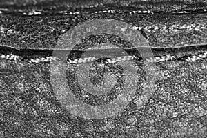 Thread seam on black leather material as background