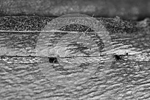 Thread seam on black leather material as background