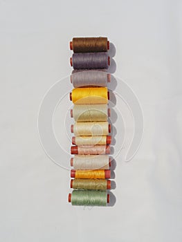 Thread spool sewings string tailor colorful light on white background