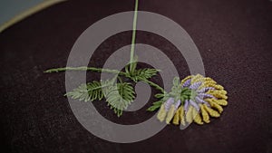 Threaded Blooms: Women Stitching Flowers with Yellow, Purple, and Green Floss