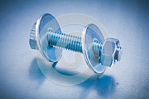 Threaded screwbolt with bolt washers and