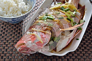 Threadfin Eleutheronema tetradactylum