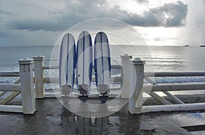 Three 3 surf boards fronting the sea