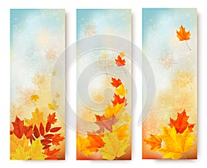 Three abstract autumn banners with color leaves.