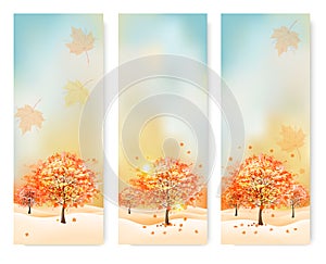 Three abstract autumn banners with color leaves.