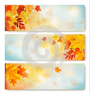 Three abstract autumn banners with color leaves.