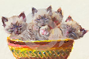 Three adorable newborn kittens cuddled up in a thai-style basket