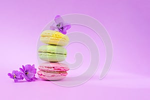 Three almond macarons decorated with flowers on pink background with copy space