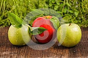 Three apples with green leafs