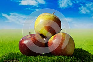 Three apples on the green meadow