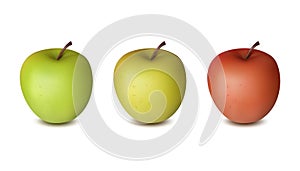 Three apples isolated on white background. Red, yellow and green realistic fruits with shadows. 3D vector illustration