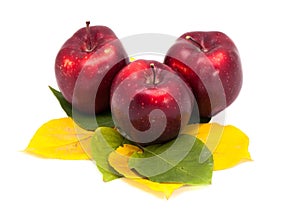 Three apples on leaves isolated