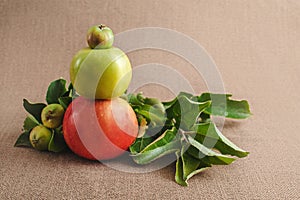 three apples of varying degrees of ripeness on each other