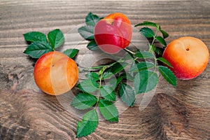 Three apricots on a wooden base. In the foreground