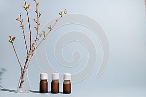 Three aromatherapy bottles with plant in labor glass represent .natural science oil