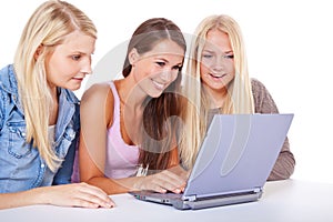 Three attractive girls using same laptop